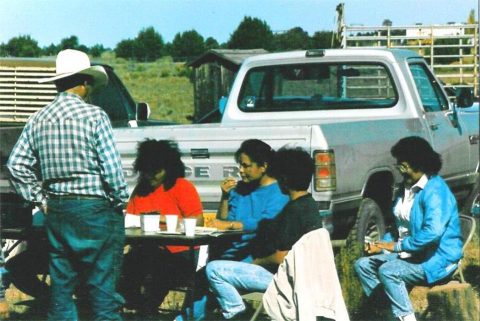 Red Mesa Chapter Ramah Navajo Chapter – Ramah Navajo Chapter House in Ramah New Mexico ...